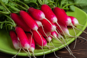 Wall Mural - Summer harvested red radish. Growing organic vegetables.