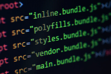 Javascript lines of code into a library for website application. Script language in a software developed for internet
