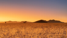 Sunrise In Desert Landscape,  NamibRand Nature Reserve, Namib, Namibia
