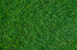 Top view of green grass texture background.green grass texture for sports fields,golf,football and garden decoration.green lawn is beautiful and natural in the park,green grass background