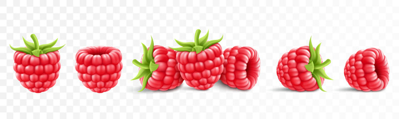 Wall Mural - collection of ripe raspberries isolated on background. natural summer fruit, realistic 3d vector ill
