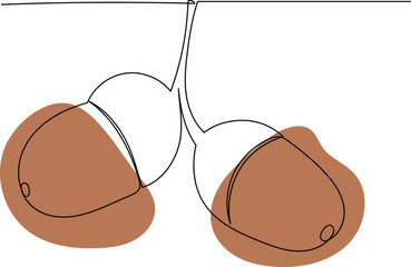 Wall Mural - acorns drawing by one continuous line, vector