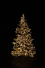 Silhouette Of Blurry Christmas Tree Illuminated And Decorated With Golden Fairy Lights In Dark Night Creating Beautiful Bokeh Effect With Glowing Circles Or Shiny Dots, Abstract Image For Holiday Card