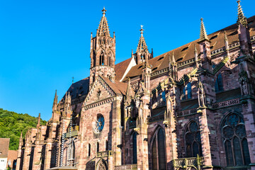 Wall Mural - Freiburg Minster, the cathedral of Freiburg im Breisgau - Baden-Wurttemberg, Germany