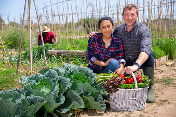 Married couple with a basket of ripe vegetables on his farm field