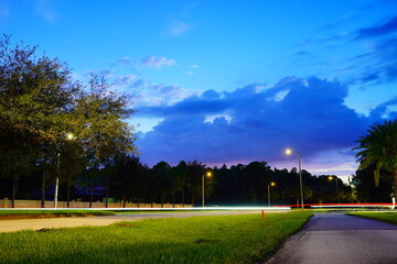 Poster - beautiful Florida community, tree and cloud