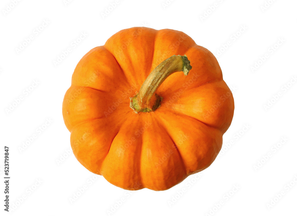 Top view of Vibrant Orange Ripe Pumpkin Isolated on Transparent ...