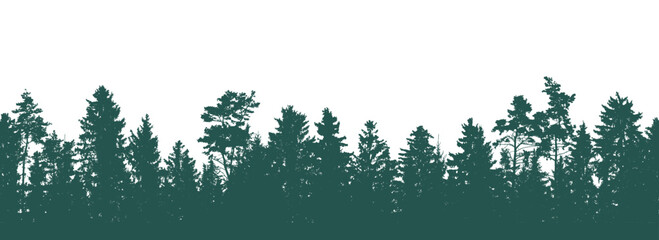 Wall Mural - Panorama of beautiful forest, silhouette of fir trees and pines. Vector illustration.