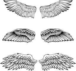 Wall Mural - Bird wings vector illustration tattoo style. Hand drawn design element.