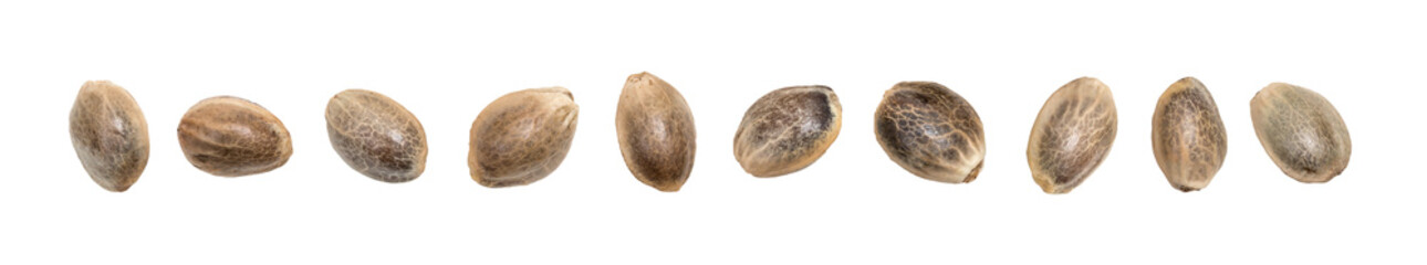 Close up of hemp seeds in a disorderly horizontal line and isolated on transparent background