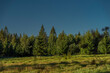© luzkovyvagon.cz - Summer Slovakia morning with blue sky and green forest