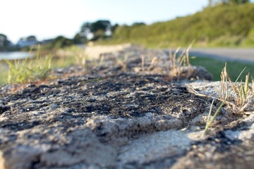 Poster - path through the field