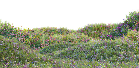 Meadow on a transparent background
