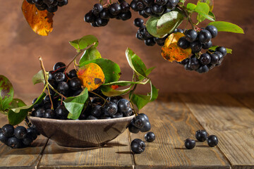 Wall Mural - Chokeberry, aronia melanocarpa. Bunches of black chokeberry berries with leaves in bowl on wooden table against brown background.