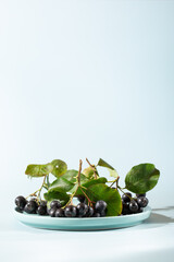 Wall Mural - Chokeberry, aronia melanocarpa. Bunches of black chokeberry berries with leaves on blue plate on light blue background.  Copy space.