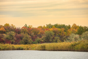 a lake or river in late autumn, the banks in colorful trees. sharpness on the shore