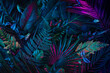 © Nataliya - Creative layout installed with tropical colorful plants forest glow in the dark background.