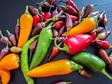 Colorful Chili Peppers And Spices. Assortment Of Fresh And Dryed Peppers: Cayenne, Charleston Hot, Carribean Red Habanero  On The Dark Background
