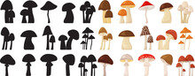 Silhouette Mushrooms Collection Isolated, Vector