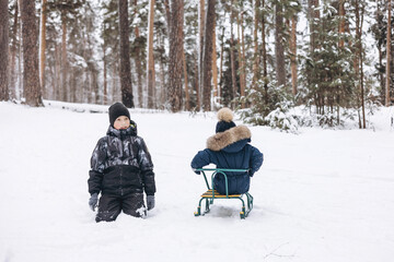 Wall Mural - Two joyful boys sledding and having fun together. Happy children playing in snow in winter forest. Brothers spending time together