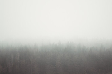 Naklejka na meble fog in the forest