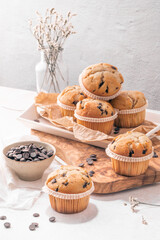 Wall Mural - Chocolate chip muffins with milk