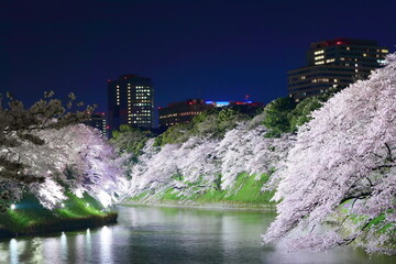 Water, Chidorigafuchi Green Way, Evening