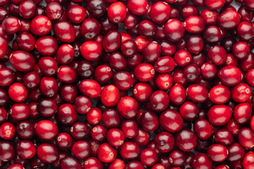 Wall Mural - Cranberry bio background, food background.