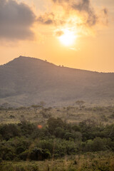 africa