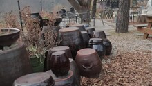 View of pitchers in a garden by the cafe