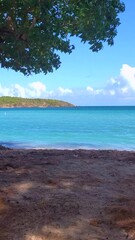 tropical empty beach on a windy day, vertical shot
