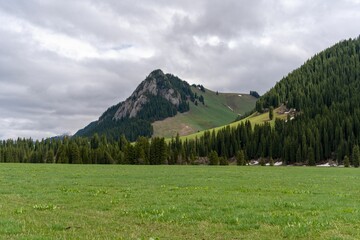 Poster - Green grassland and a snowy mountain