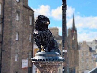 Sticker - Closeup of the famous Greyfriars Bobby Statue, Edinburgh, Scotland, United Kingdom