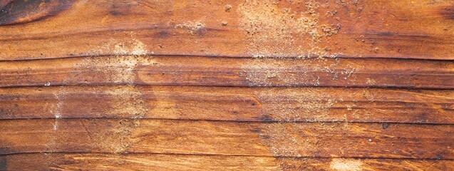 Canvas Print - Close up of  Textured Wood