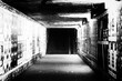 Grayscale shot of an underground passage with street art on the walls
