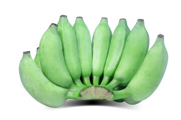 Wall Mural - cultivated banana on isolated white background.