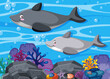 © brgfx - Undersea background with dolphin in cartoon style