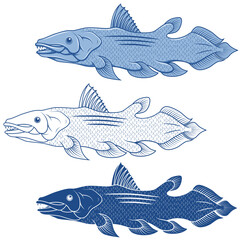 Coelacanth fish vector design