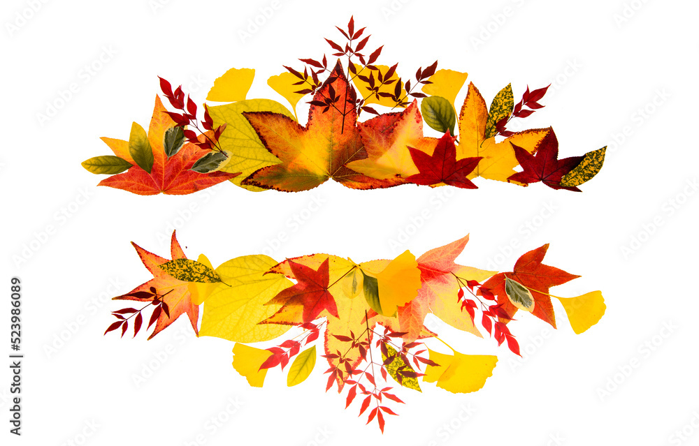 Stock-Foto „Autumn leaves background. Autumn fall frames borders. Fall ...