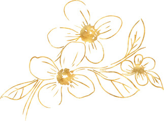 Gold flower hand drawn illustration