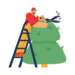 Wall Mural - Male gardener trimming the tree with professional shears, flat vector illustration isolated on white background.