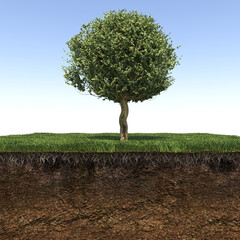 Wall Mural - tree on the grass and a slice of soil under it, 3d render