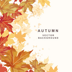 Wall Mural - autumn background with space for text. thanksgiving and harvest day. leaf fall frame. watercolor map