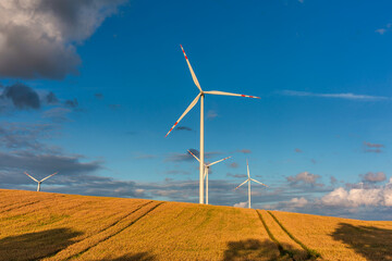 Wind turbines on the meadow over the blue sky