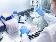 A Laboratory Technician Performing Biological Activity Evaluation Of A New Anticancer Drug Using Elaborated Laboratory Equipment. The Experiment Is Carried Out In A Sterile Environment.
