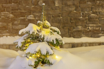 Wall Mural - Tiny Christmas tree glows at night in the snow. A small live Christmas tree covered with snow. A small Christmas tree in garlands covered with snow at night