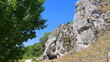 © turtles2 - Impossante Felsformation mit kleiner Höhle am Rande des Wanderweges durchh das Eselsburger Tal auf der Ostalb