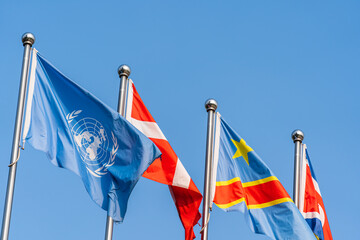 Wall Mural - flags under sky