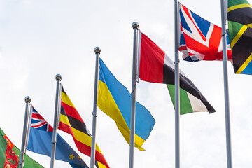 Wall Mural - flags under sky