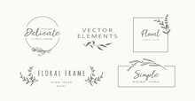 Set Of Minimalistic Elegant Hand Drawn Floral Elements. Fashion Logo Templates, Decorative Labels, Signs. Vector 